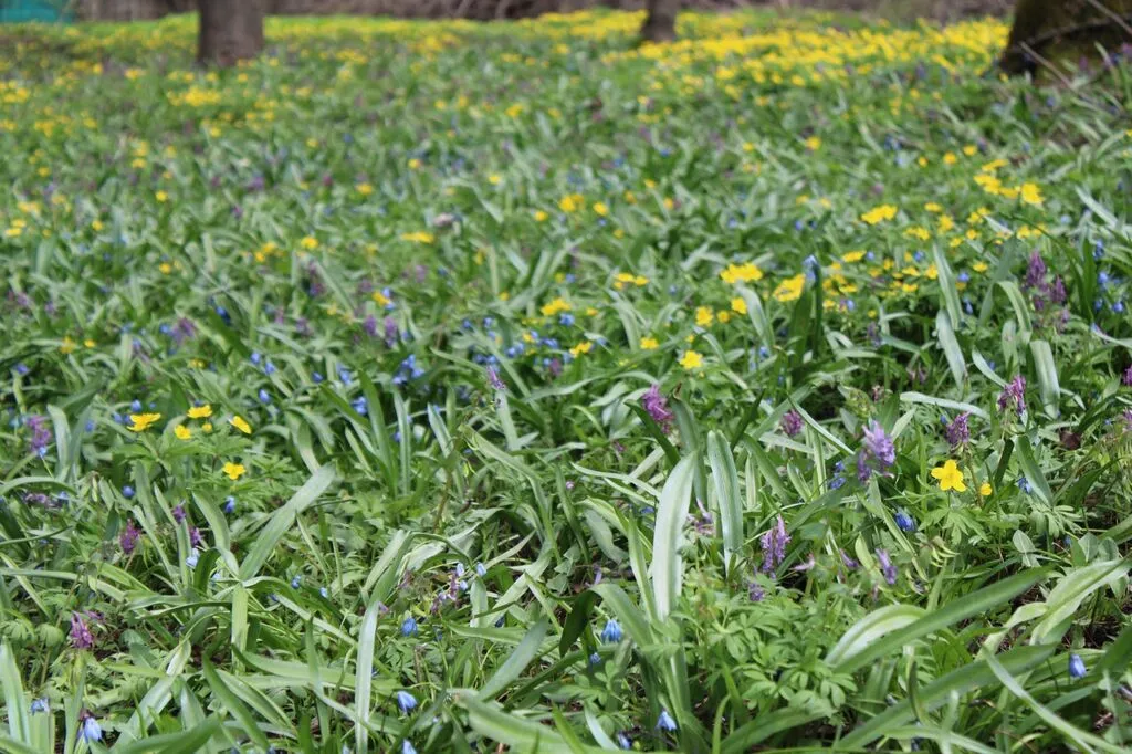 -nSMPrRmT2IbD2lV77GF2Fn23VkmRf_pIZ7XbLJnLnwNY-0ZH6GcaoiKu4v8BgxBXQlyVds6Fn2iL4Gt_TKjZU9x